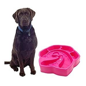 Slow Feeder Dog Bowl，Interactive Bloat Stop Dog Bowls,No Chocking Slow Feeder.
